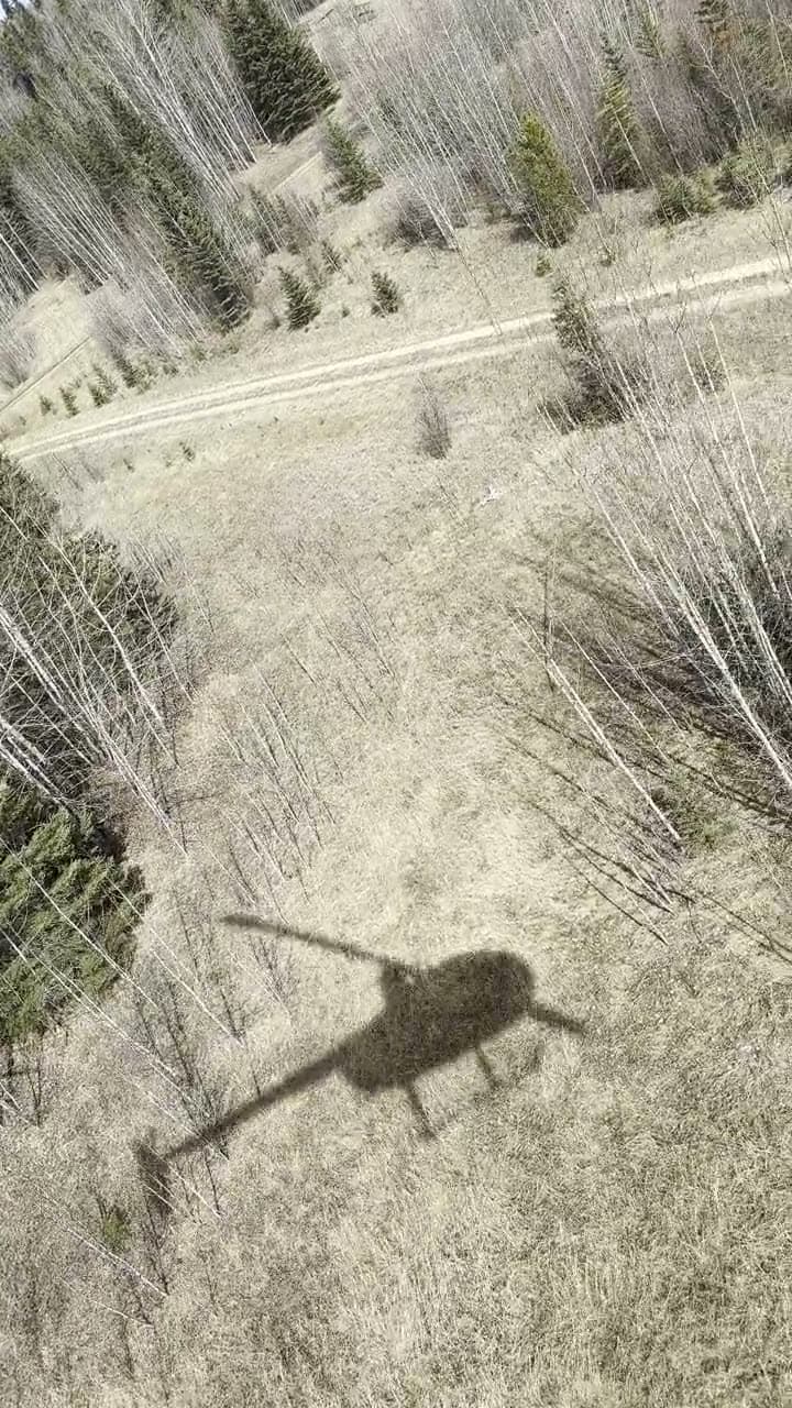 Over the treeline